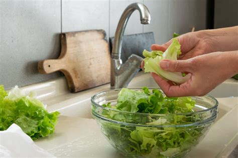 comment conserver la salade fraîche